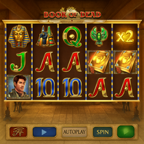 VolerBet - Book of Dead Slot Game